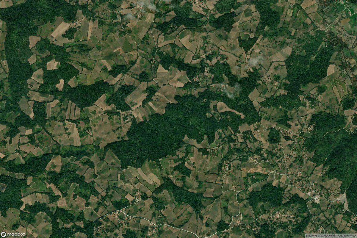 Lelić